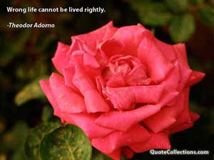 theodor_adorno_quotes Quotes 2